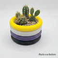 Vaso BUBBLE