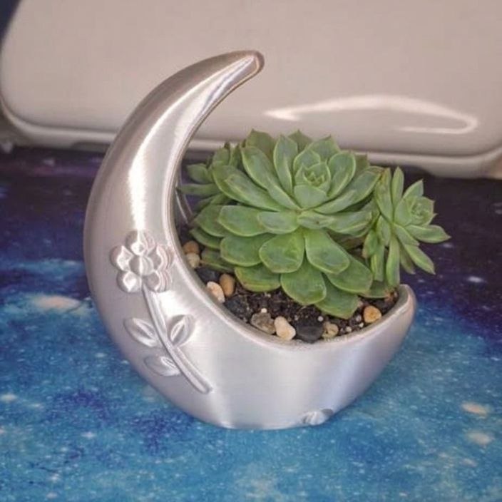 🌙 Vaso Luna